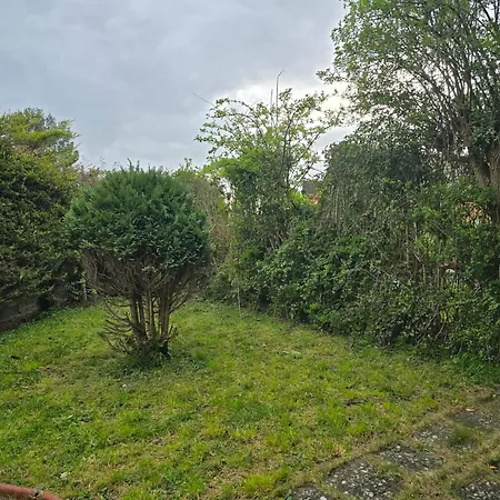 3-bedroom Next To Southmead Hospital بريستول